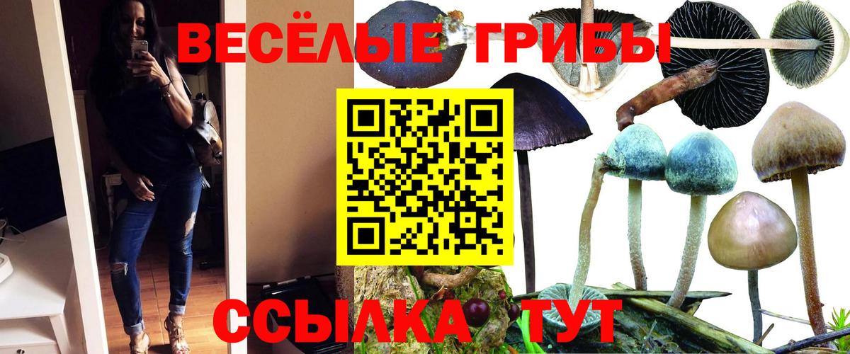 Псилоцибиновые грибы Psilocybe  Вход с VPN  Муравленко 